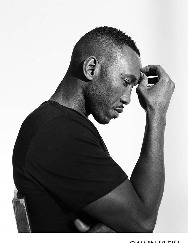 《月光男孩》主演携calvinklein2017内衣大片来袭_黑人_传奇_大奖