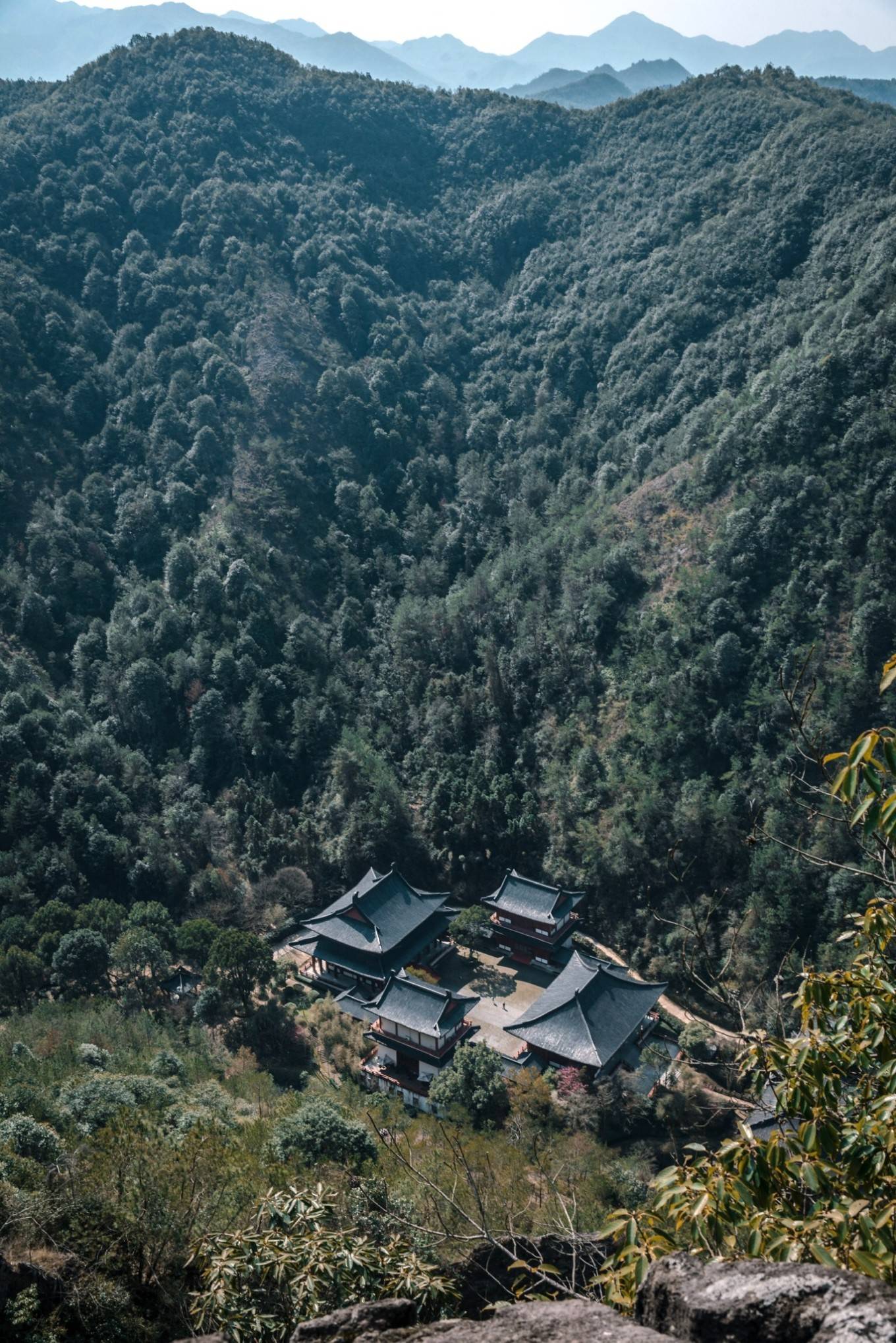 欢乐颂柳东来 孤峰擎天