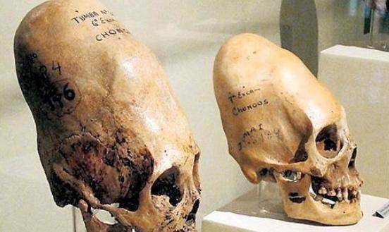 南极史前文明藏不住了?