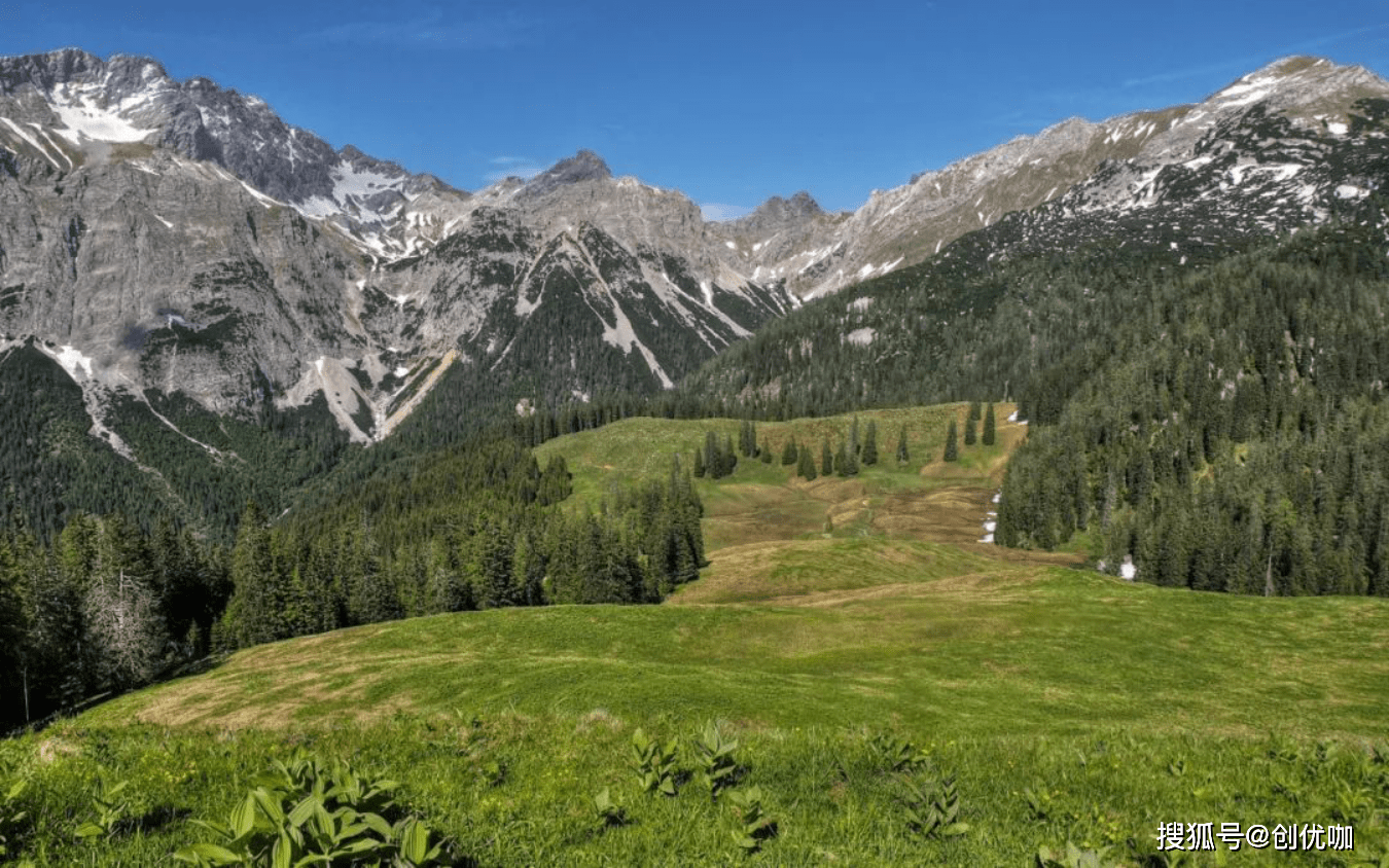 排行生肖_2024年3月财运最旺最顺的生肖排名第一属鼠人(2)