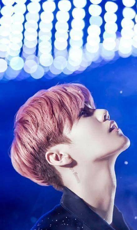 鹿晗身上唯一一个真正的就是左臂上的拉丁文,我思故我在!