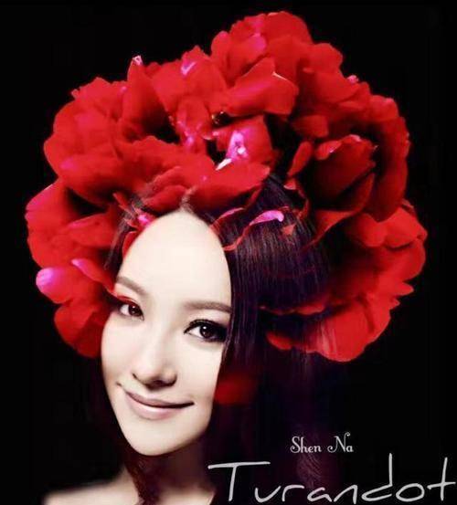 沈腾48岁姐姐严重发福,她是中国三大女高音之一,祖孙三代高颜值_沈娜