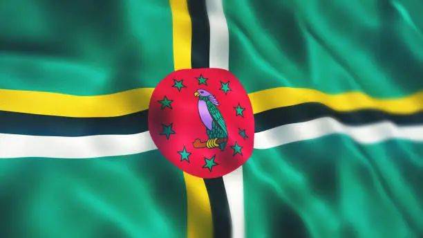 多米尼克护照申请要求简单,无语言,学历要求,无资产来源要求,无经商