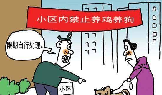 以人为本,立法养狗的人,管好"狗"的事!_伤害_环境_伤人