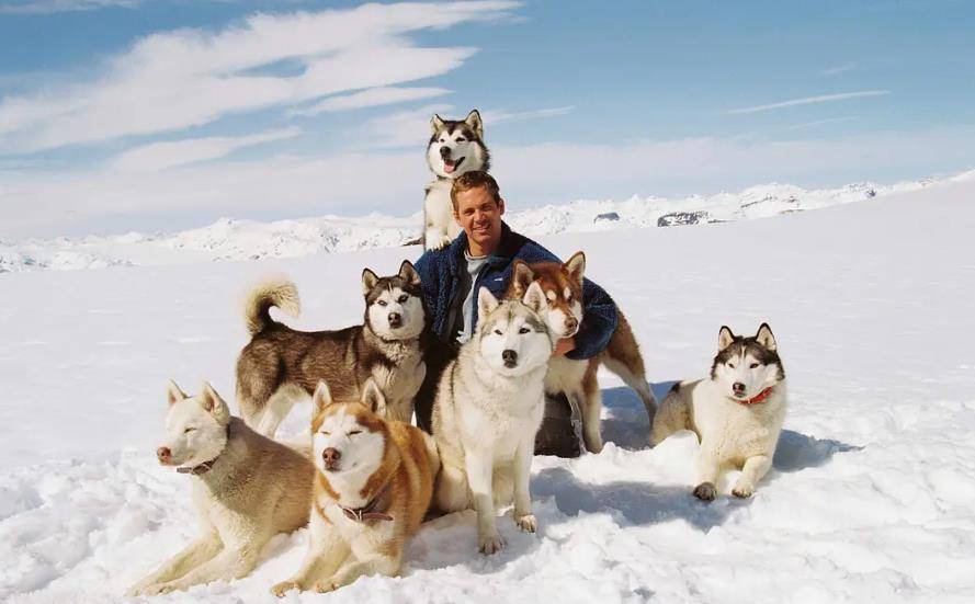 喜剧排行榜_当年内地水准最高的6部喜剧片,以前的幽默是真幽默(2)