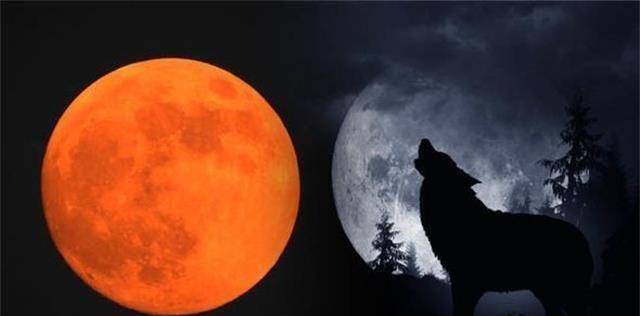 "血狼月亮"现象背后的意义是什么?_月球_地球_满月