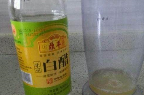 原创
  白醋加蜂蜜可以减肥吗？比例多少？早知道这个减肥方法就好了！ 第4张