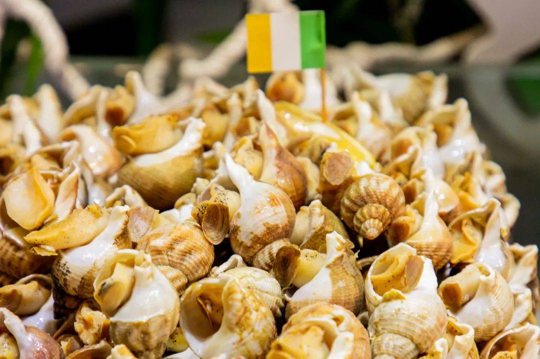 人均低至06195,在广佛也能叹爱尔兰海鲜盛宴?_做法_食材_鲜味