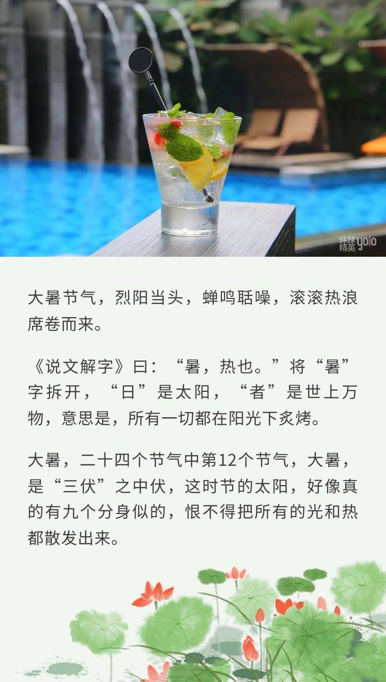 夏花绚烂，愿你生命中永远有一场盛夏！_搜狐网