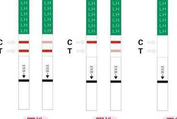 墙裂推荐（验孕试纸能查出假怀孕吗）验孕试纸能做假怀孕吗 第6张