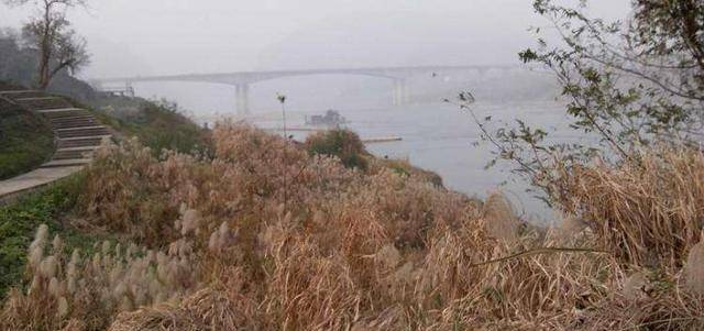 2001年南充刘天兵组织覆灭记:一连串的死亡和强奸,谁不觉得恐怖_李某