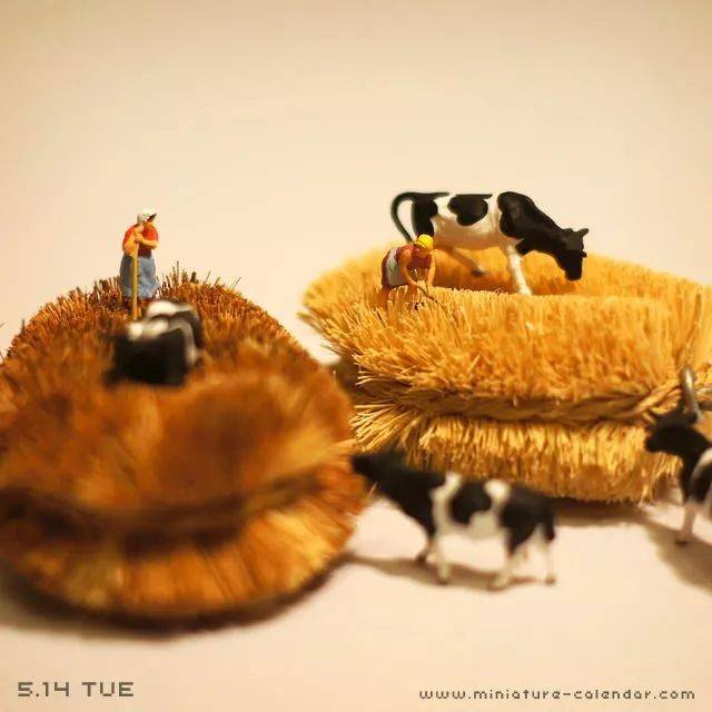 每天一幅微观摄影,他的坚持让日常生活闪闪发光_创意_作品_创作