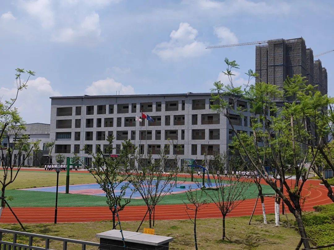 学区的话属于天府新区的c区,目前已经有天府七小,天府八小,元音小学