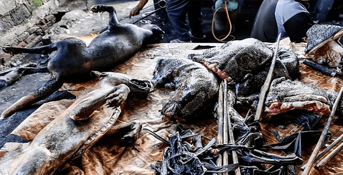 美军前脚刚走,蒙古国就爆发鼠疫,地点靠近中方边境_疫情_欧洲_死亡