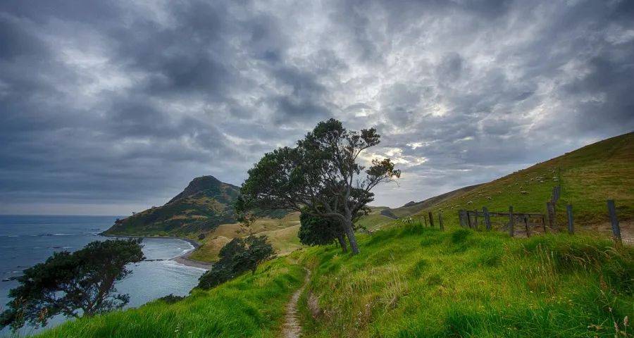 下沉市场家电品类的机会和挑战-家电圈官网