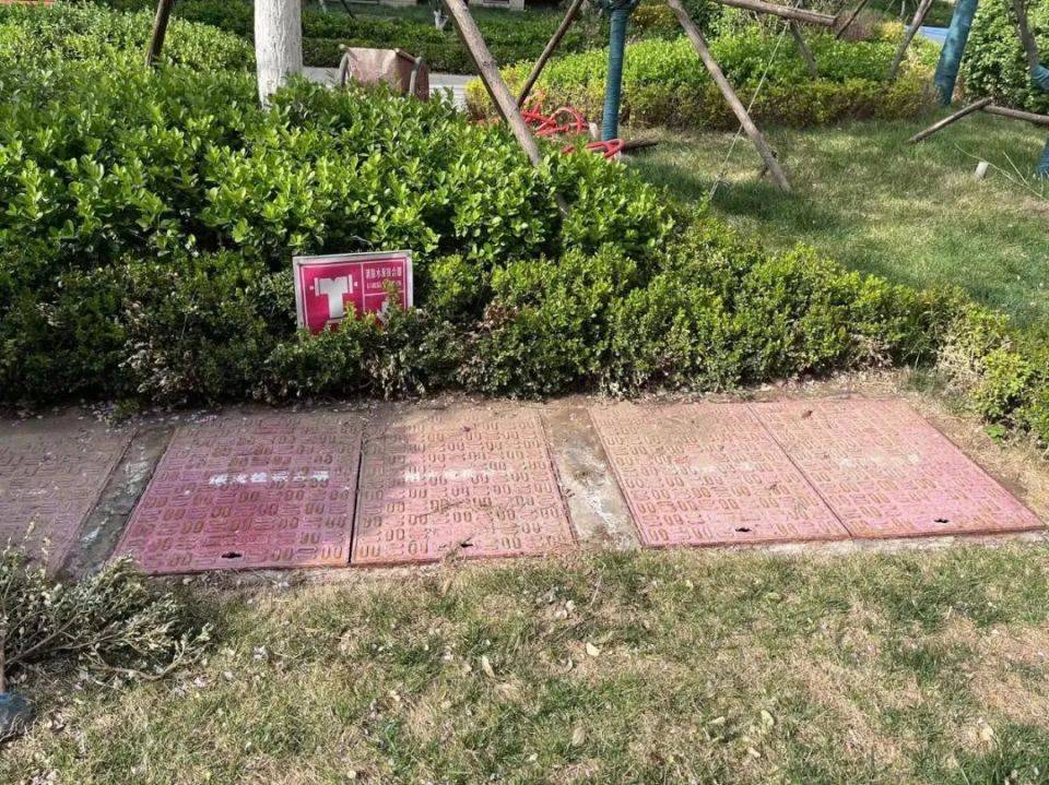 践行“温暖 让美好发生”，金辉物业焕新行动进行时