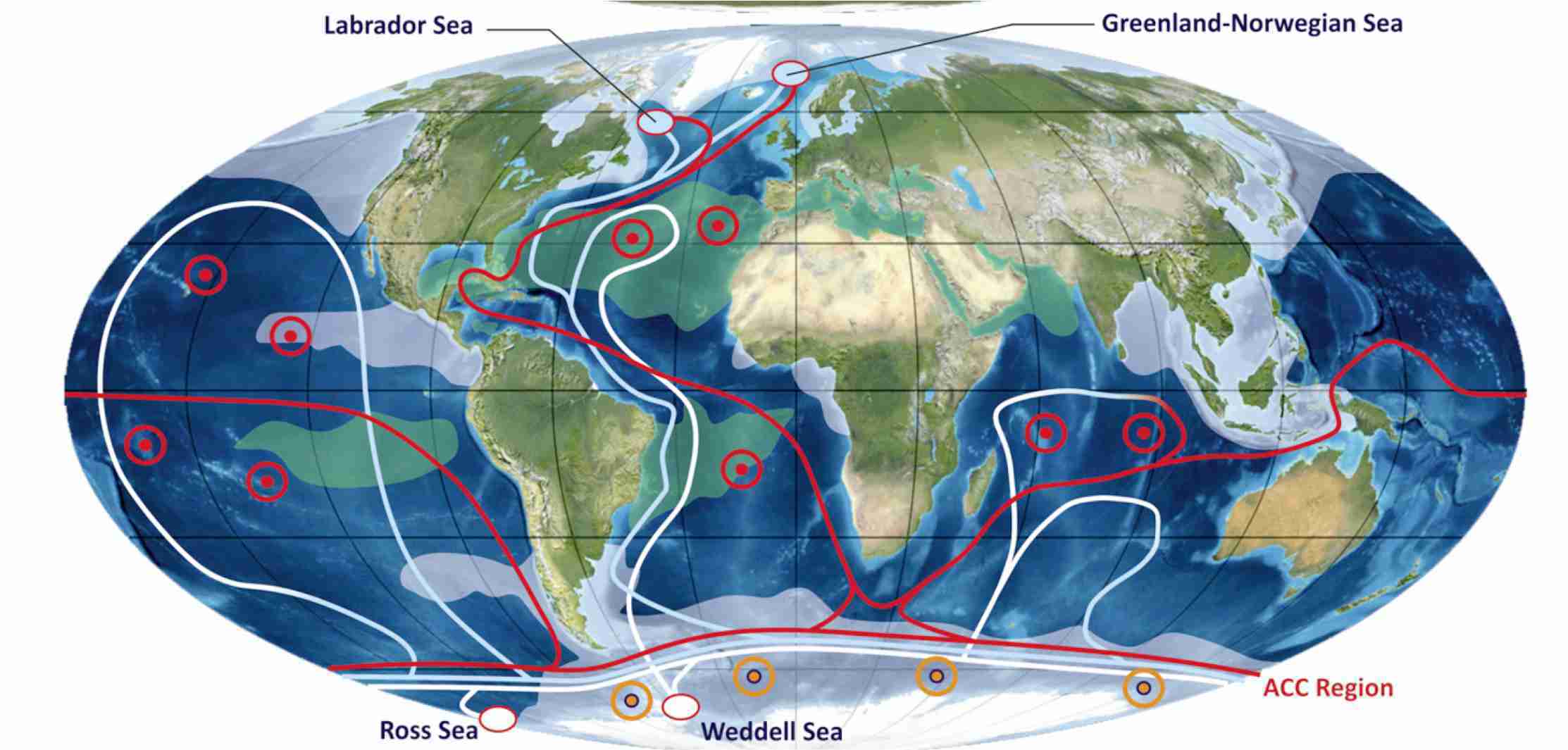 全球大洋环流图图片