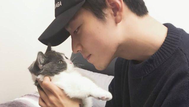 肖战化身可爱铲屎官,从王一博到易烊千玺,为何都沦为猫奴?