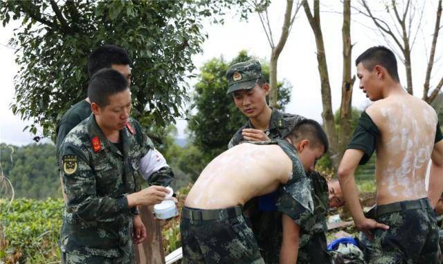 什么兵种退伍后地方政府也会抢着要？主要包括以下七大类