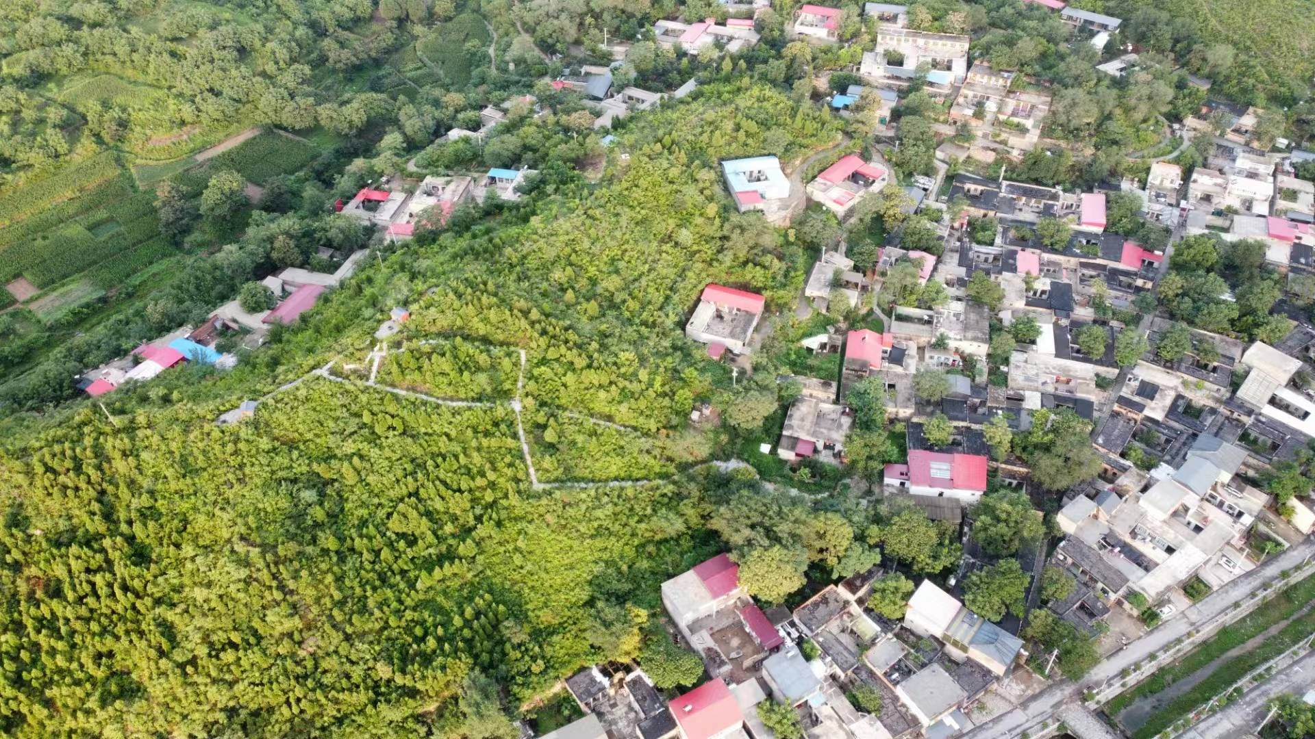 67夏雨思乡篇章:我的故里河北内丘神头村