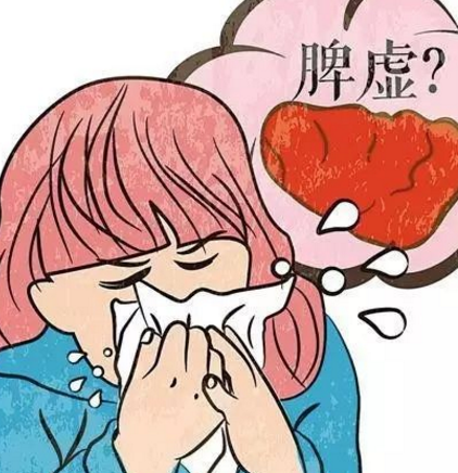 老中医:脾虚的人,通常有这5个症状,若都没有,说明脾很好_功能_脾胃