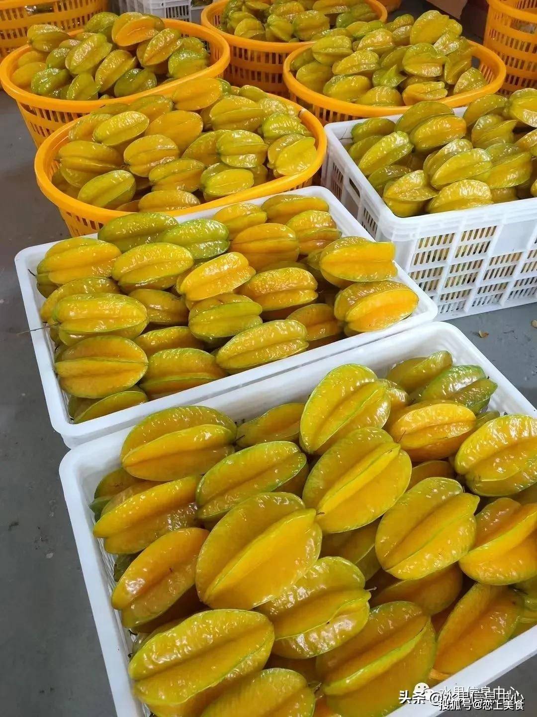 口感_杨桃_牛油果
