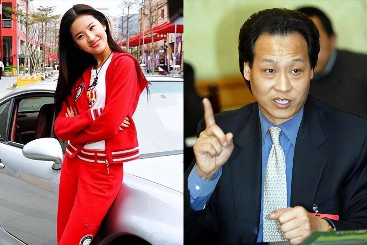 刘亦菲与"干爹"陈金飞:三十一年的纠缠与共生,如今棋局终看破_合作