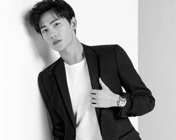 得好看的男星,都有一个漂亮的嘴唇,鹿晗成为整容范本_男生_明星_才华