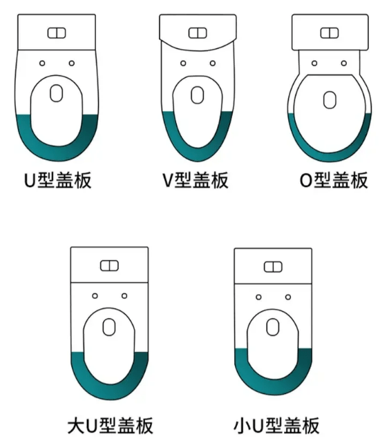 马桶盖结构图图片