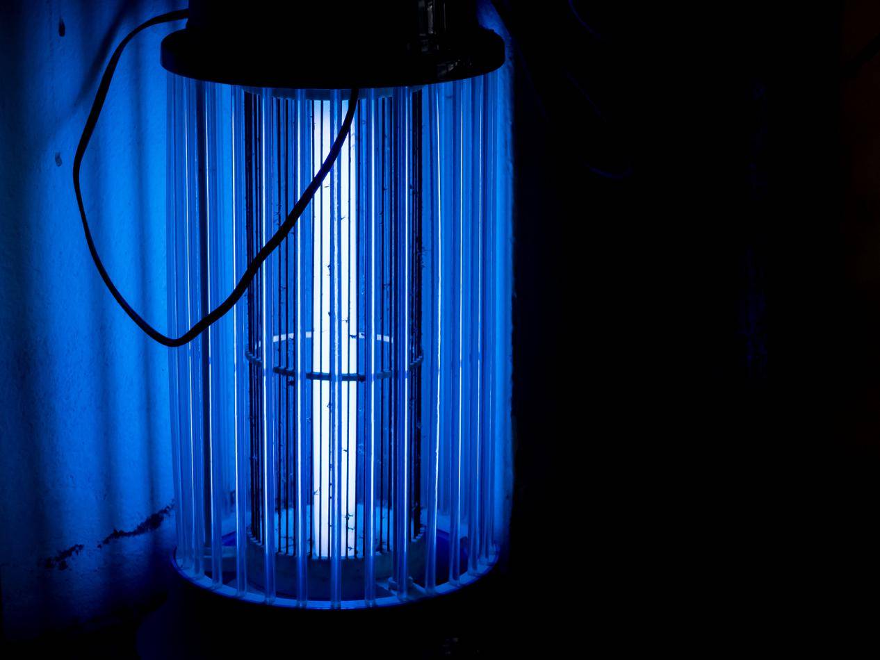 食品工厂灭蝇灯的相关规定(下)_生产_设施_虫害