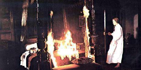 《简·爱》中伯莎·梅森形象:"男权主义的受害人"到"疯女人"_主人公