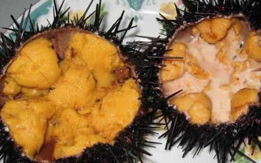 可以生吃的3种海鲜,有胆量的才敢尝试,吃过的都是"真汉子"_海胆_东西