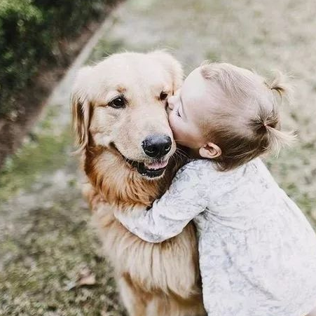 狗狗与萌娃,超治愈组合!_守护_爸妈_朋友