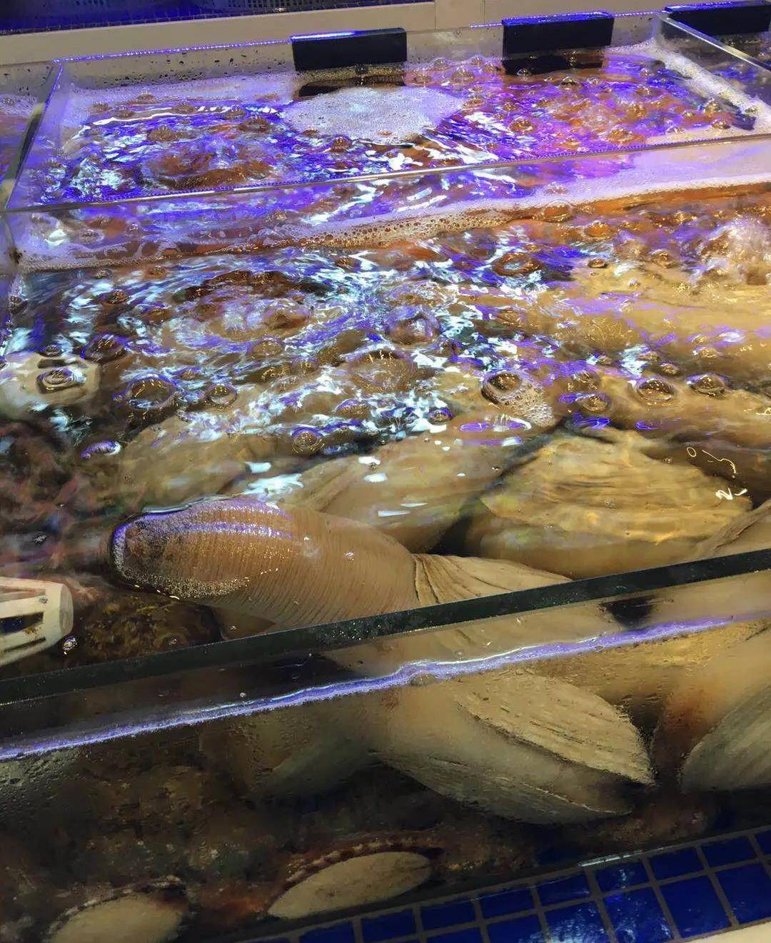 天下美食布局精细设施齐全东海渔港酒楼,主要经营中高档鲍,翅,燕及