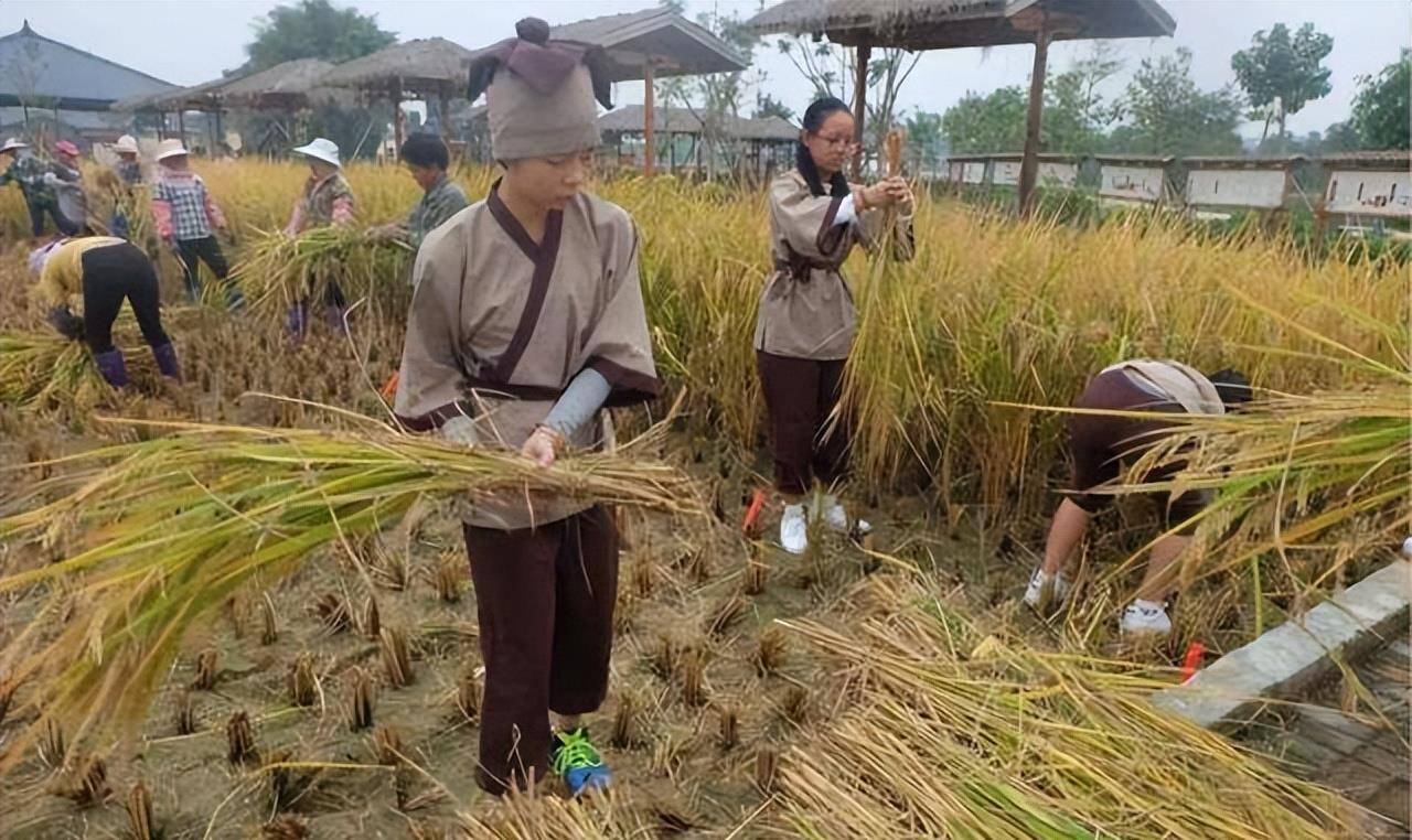 还有田间地头的百姓,古代人是"民以食为天",那些干活的人因为生产力的