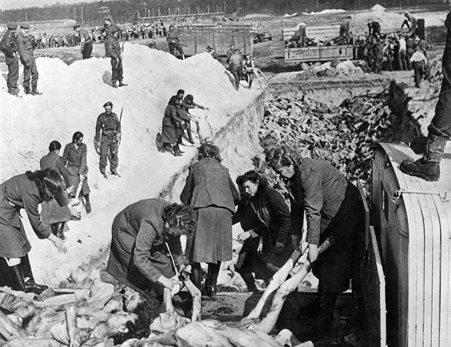 源自他的一种观念,认为犹太血统不优秀_希姆莱_罗姆_德国