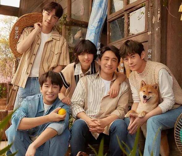 那英喊张艺兴搬行李,杨紫传授蘑菇屋太闲,干活要像张艺兴抢着干_黄磊