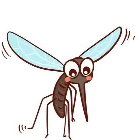 为什么蚊子一开灯就不见了，如何轻松找到蚊子的身影？插图