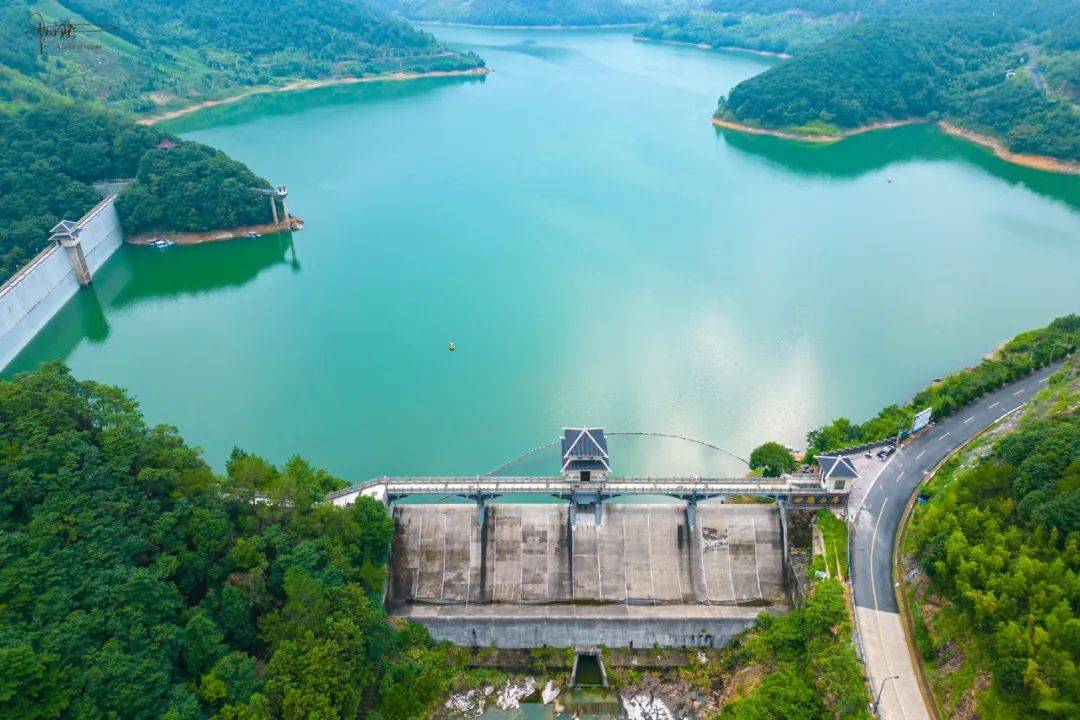 四岭水库在杭州"跑山界"挺有名,其实它本身并没山路可跑_灌溉_保护