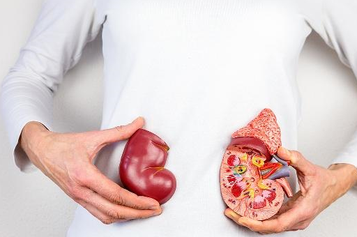 肾囊肿不治疗,会不会引起肾衰竭?