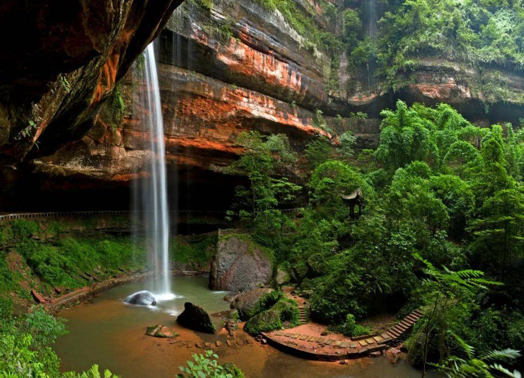 沐川县_魔芋_三溪村