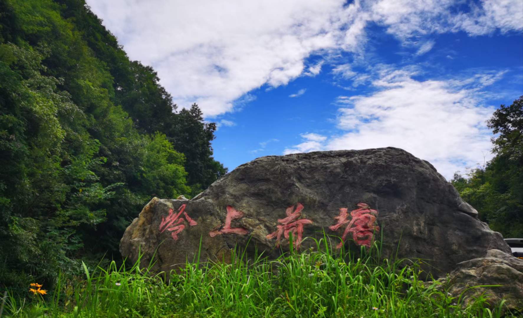 好美罗圈岩村的荷花开啦距广元城区仅22公里年均气温14