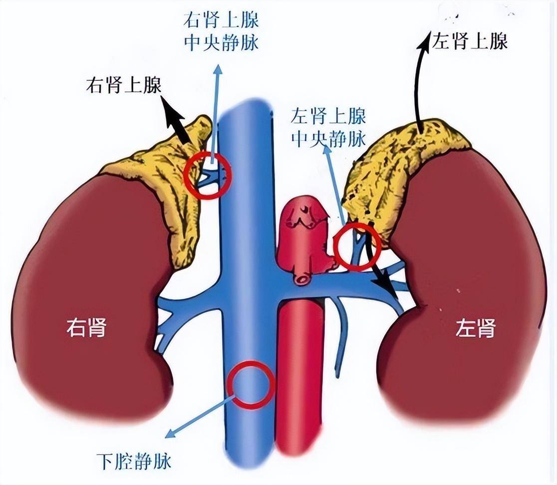 精准找到真凶,避免不必要的切除手术