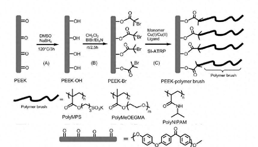 磺化聚醚醚酮图片