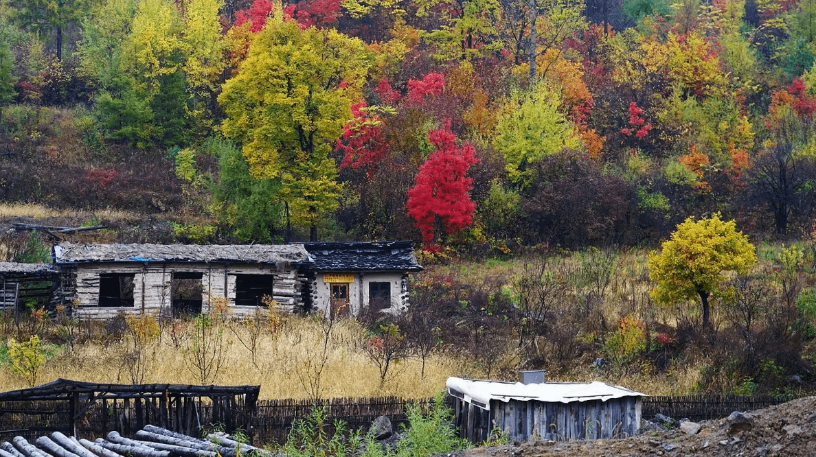 【最美天池南】漫江镇:隐藏在长白山角落的"呼吸小镇"_原料_覆盖率
