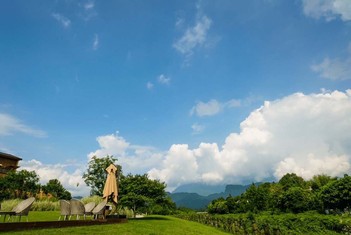 青城山_汤屋_住客