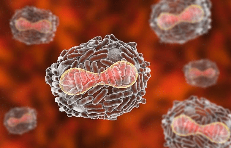 天花可能是最广为人知的传染病.