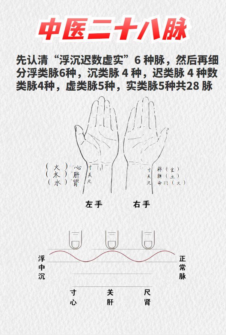 学到了（假验孕棒从哪里买）造假验孕棒两条杠图片 第3张