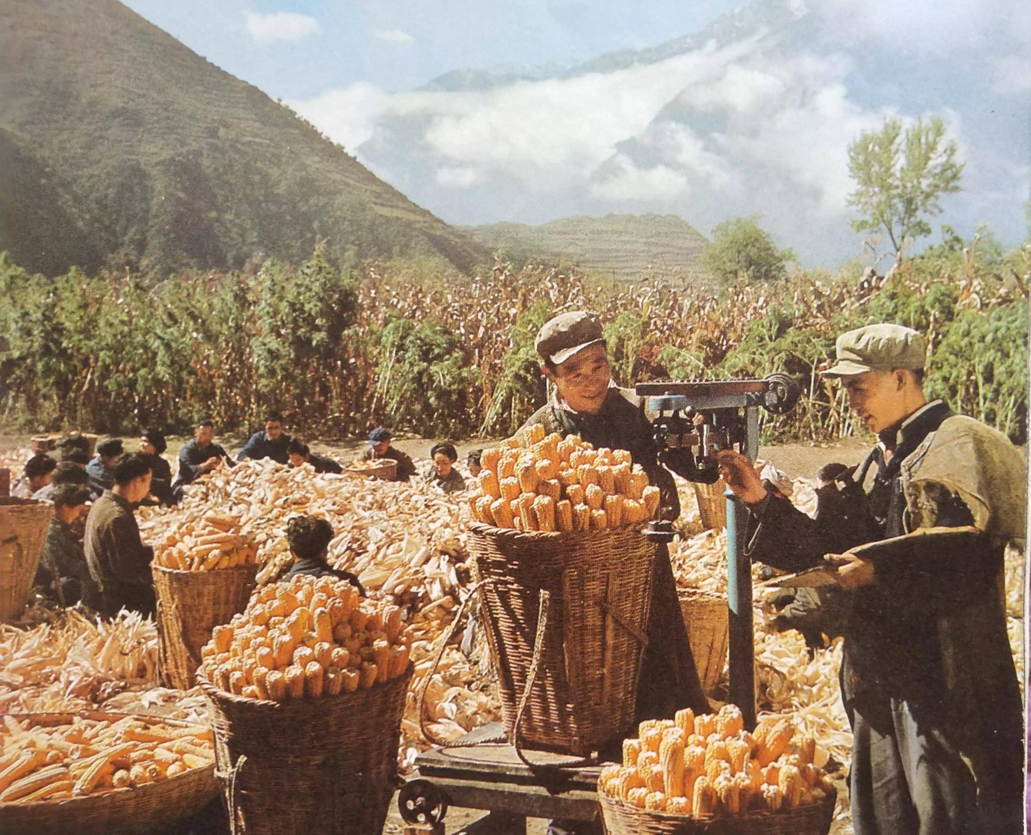 70年代记忆(20)-怀旧图片欣赏_农业_劳动_革委会