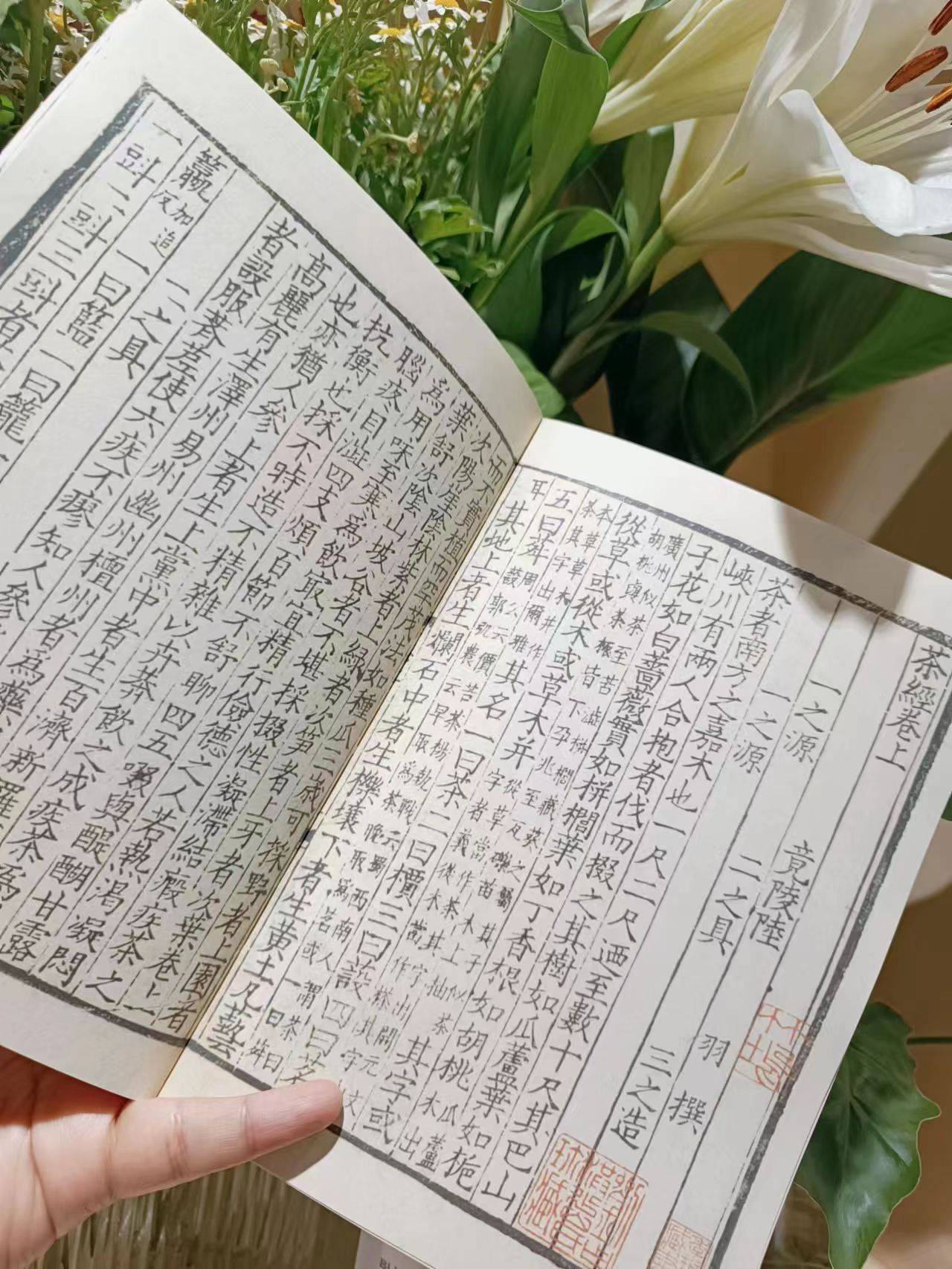 捧一杯香茗,读一本漫画,品中国传统文化_蔡志忠_茶叶_安徽